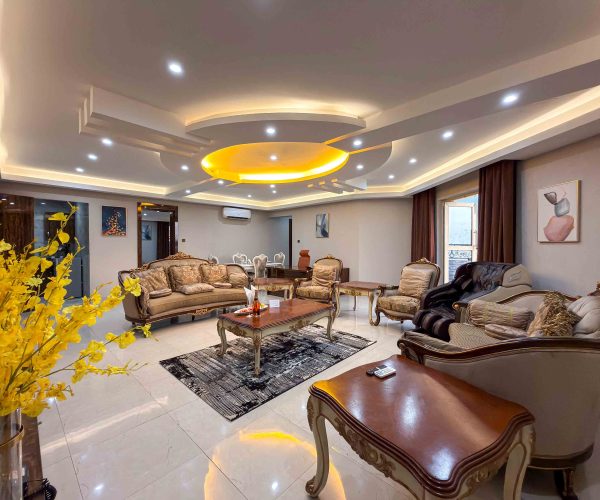 San Antonio-220 copy